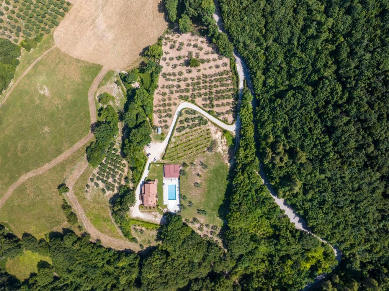 Agriturismo Isola Verde SantʼUrbano 외부 사진
