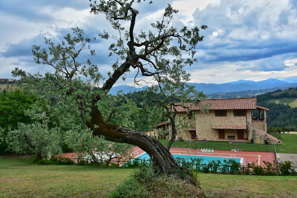 Agriturismo Isola Verde SantʼUrbano 외부 사진