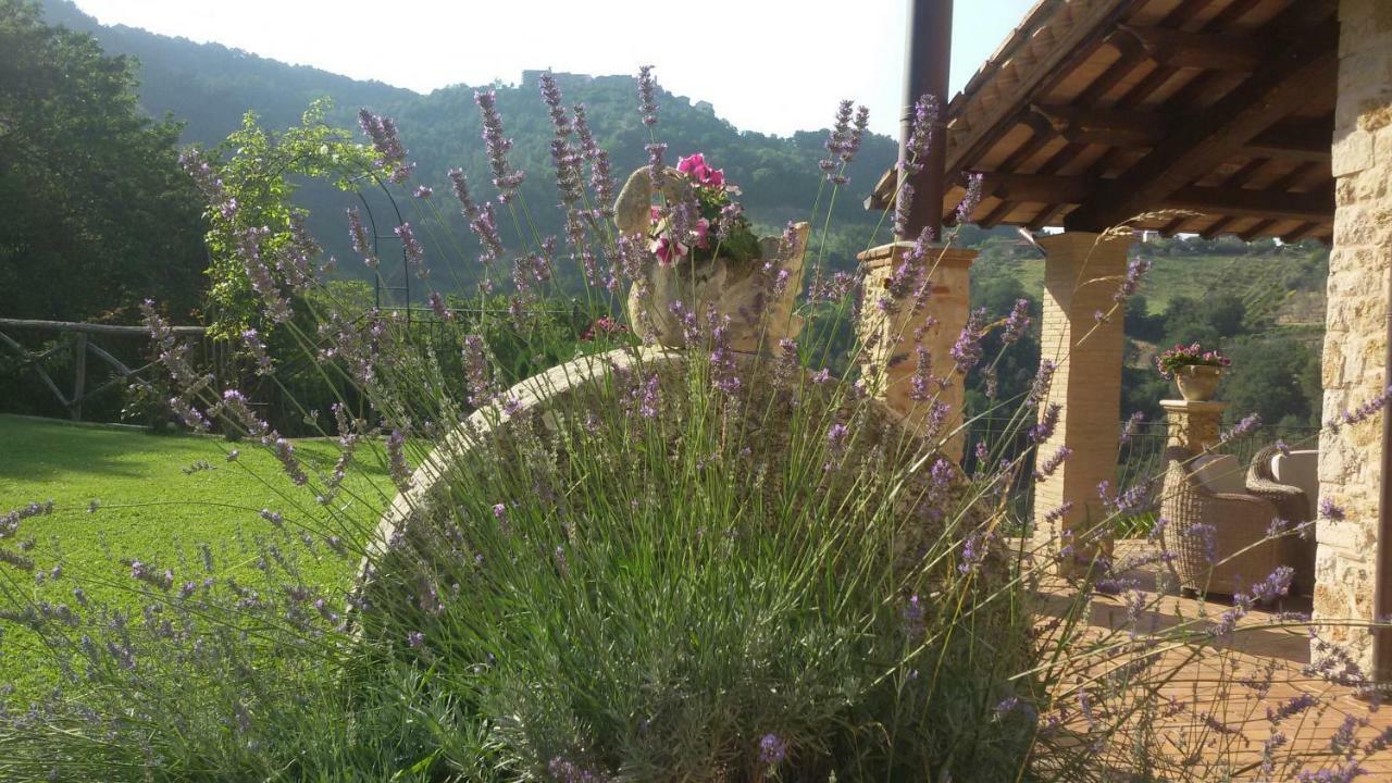 Agriturismo Isola Verde SantʼUrbano 외부 사진