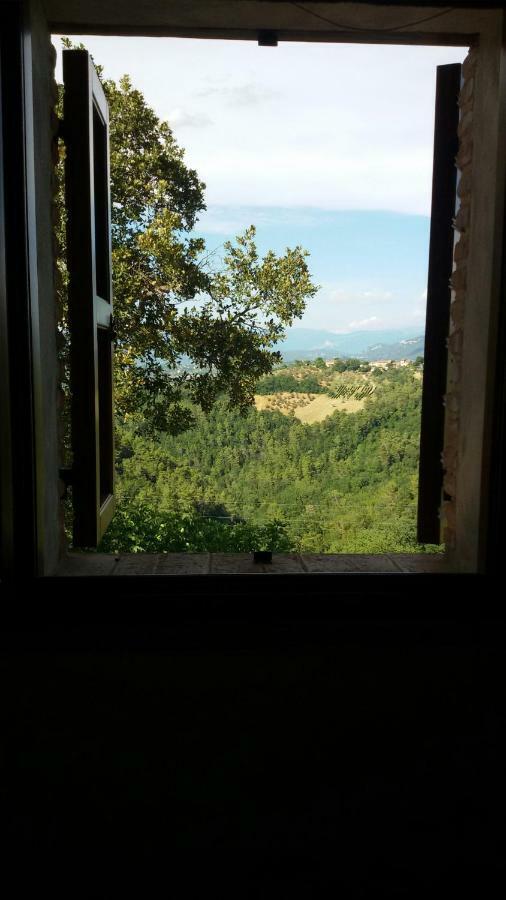 Agriturismo Isola Verde SantʼUrbano 외부 사진