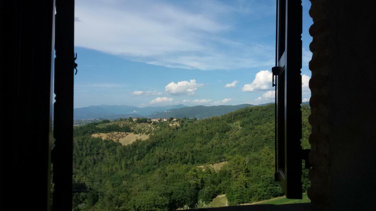 Agriturismo Isola Verde SantʼUrbano 외부 사진