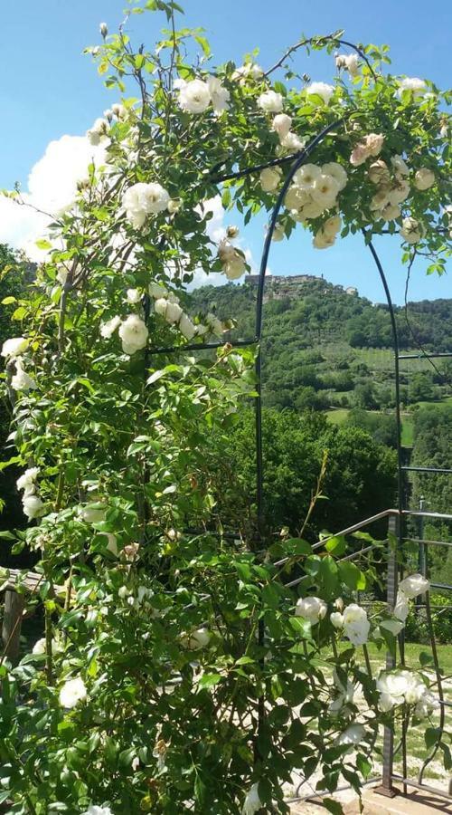 Agriturismo Isola Verde SantʼUrbano 외부 사진