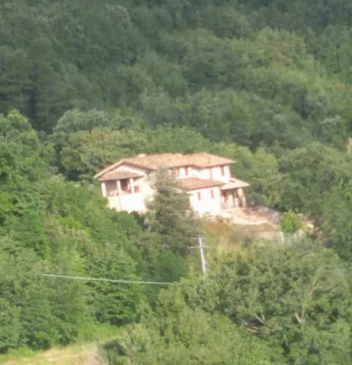 Agriturismo Isola Verde SantʼUrbano 외부 사진