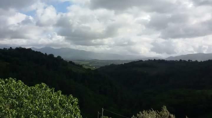 Agriturismo Isola Verde SantʼUrbano 외부 사진