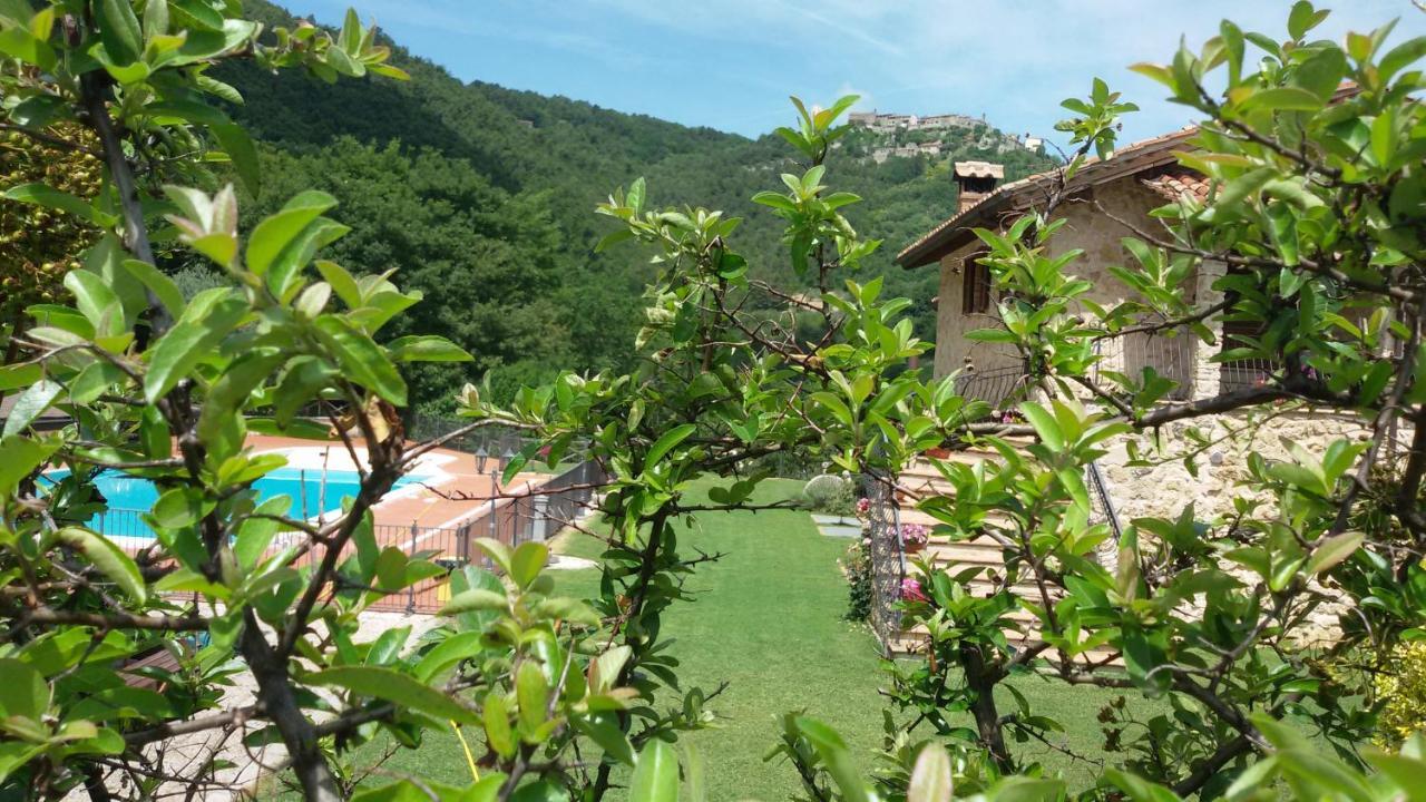 Agriturismo Isola Verde SantʼUrbano 외부 사진